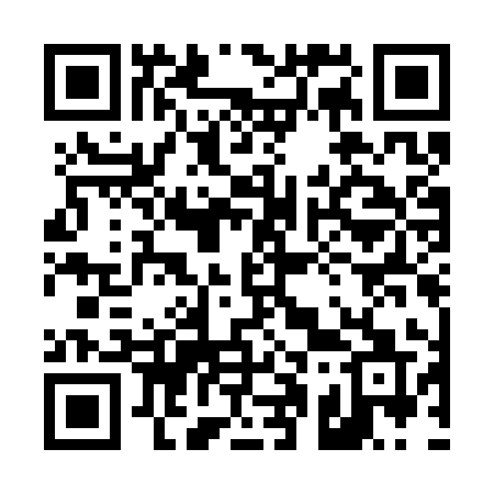 QR code for 411CYQ