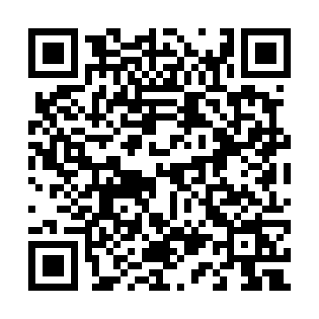 QR code for 411D