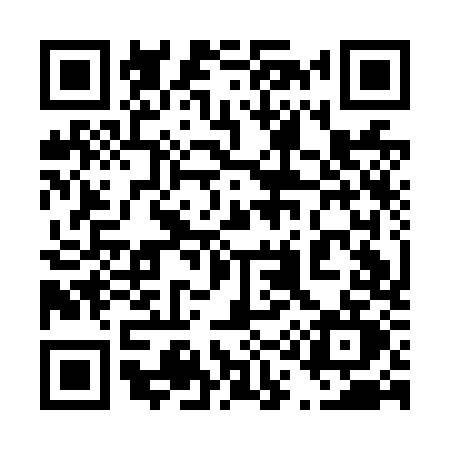 QR code for 411N