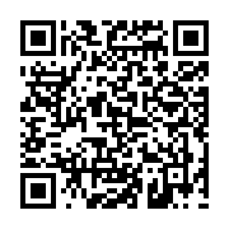 QR code for 411O