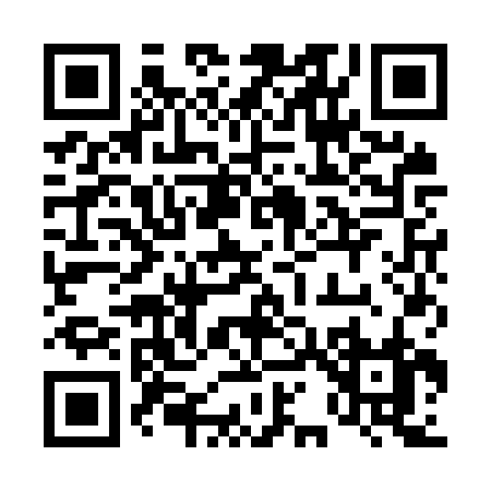 QR code for 411OR