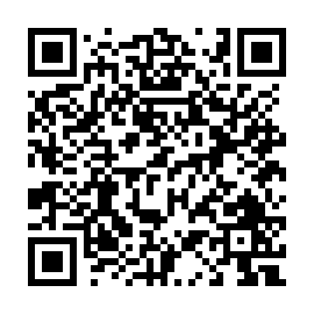 QR code for 411OV