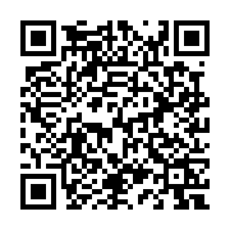 QR code for 411P