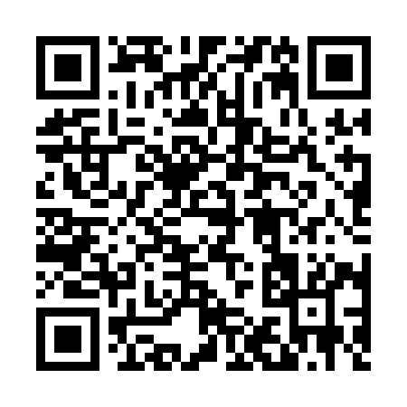 QR code for 411QI