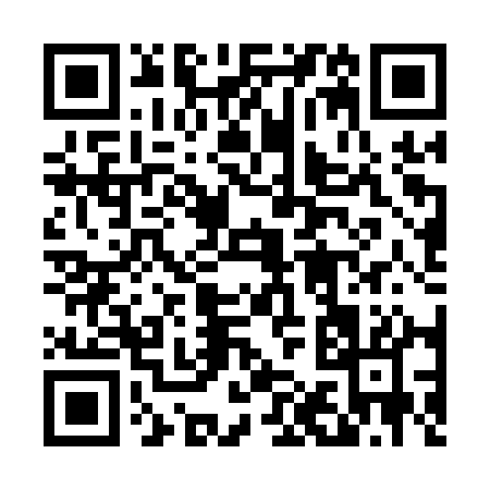 QR code for 411QQ