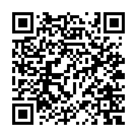 QR code for 411RO