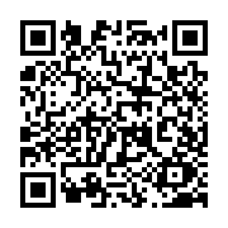 QR code for 411S