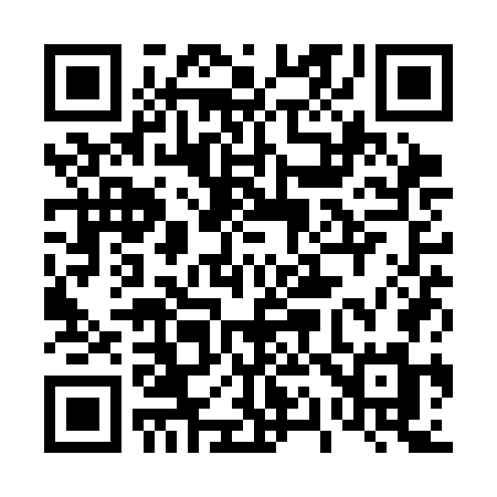 QR code for 411SGM