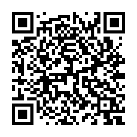 QR code for 411SVR