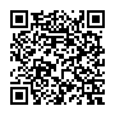 QR code for 411T