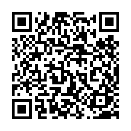 QR code for 411TJS