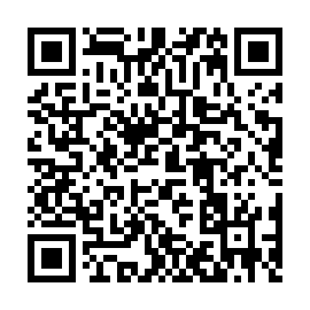 QR code for 411TW