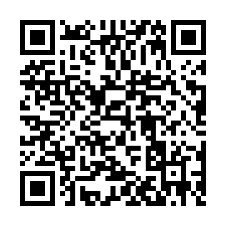 QR code for 411TZ