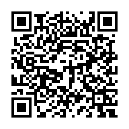 QR code for 411U