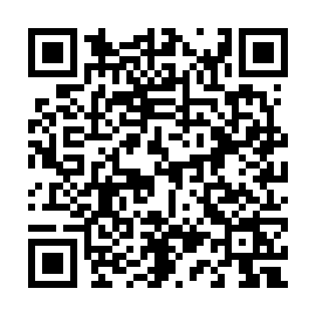QR code for 411V