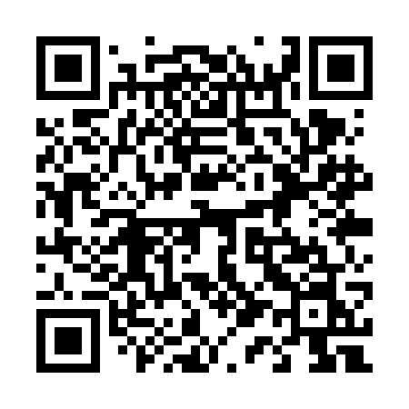 QR code for 411VGN