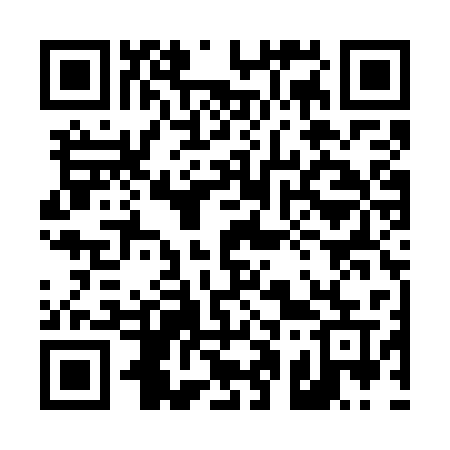 QR code for 411WSU
