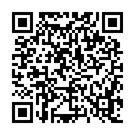 QR code for 411Z