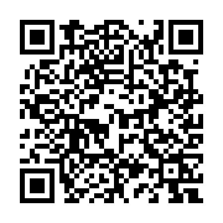 QR code for 412P