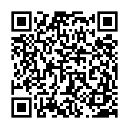 QR code for 419EFS