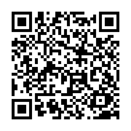 QR code for 419O
