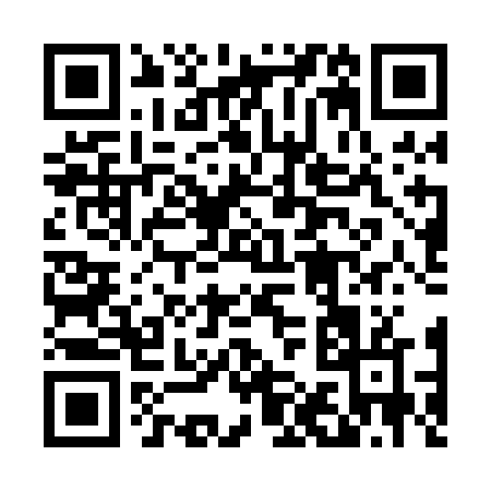 QR code for 419PF