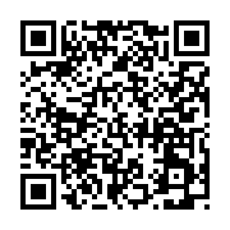 QR code for 419SF