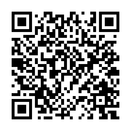 QR code for 433PP