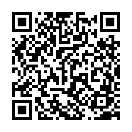 QR code for 433SFR
