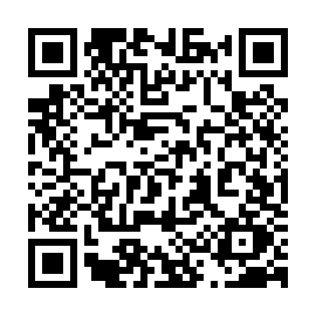 QR code for 435P