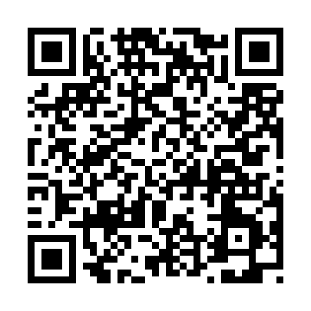 QR code for 441DJ