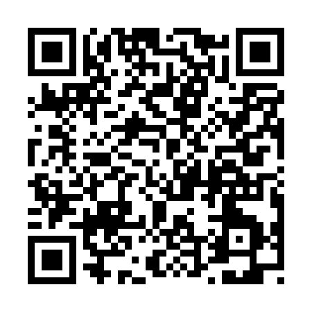 QR code for 441PS