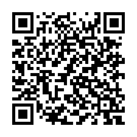 QR code for 449DMV