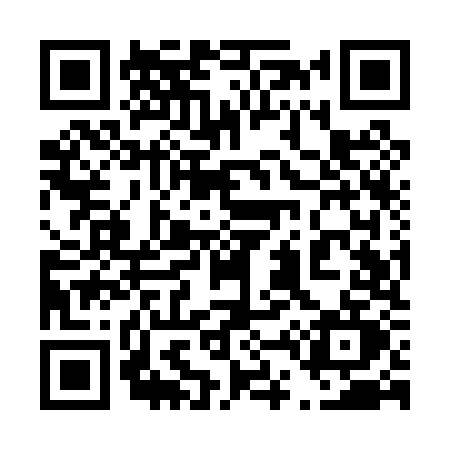 QR code for 449P