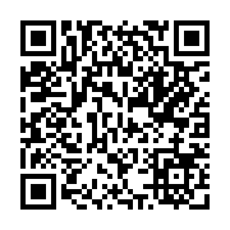 QR code for 452IN
