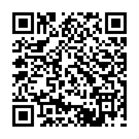 QR code for 453SS