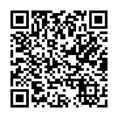 QR code for 453SWI
