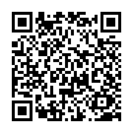 QR code for 453Z