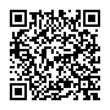 QR code for 455P