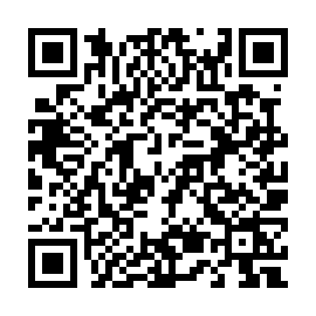 QR code for 456P