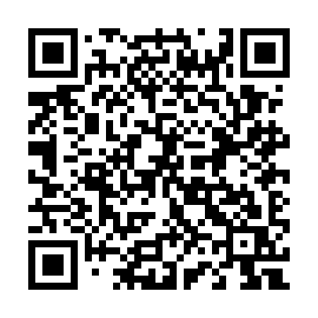 QR code for 460EIS