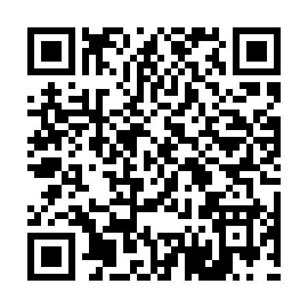 QR code for 460PY