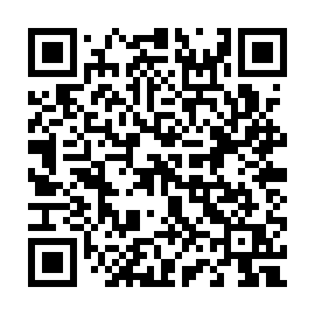 QR code for 460QQQ