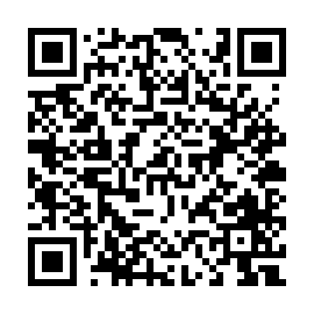 QR code for 460SX