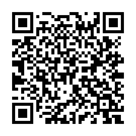 QR code for 460ZHL