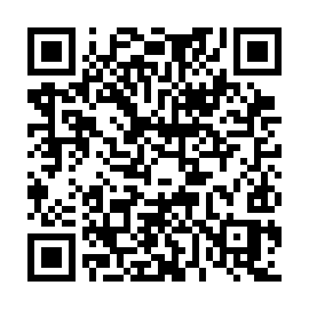 QR code for 461CIS