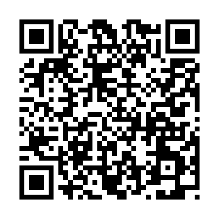 QR code for 461EX