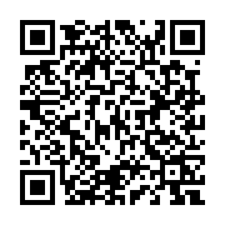QR code for 461P