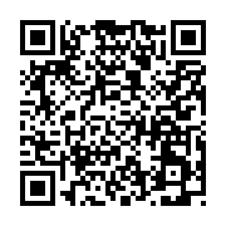QR code for 461PV