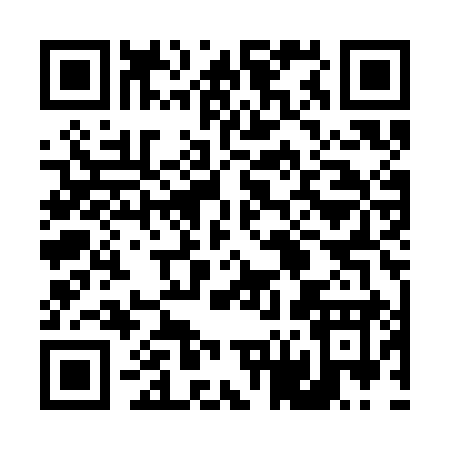QR code for 461SI